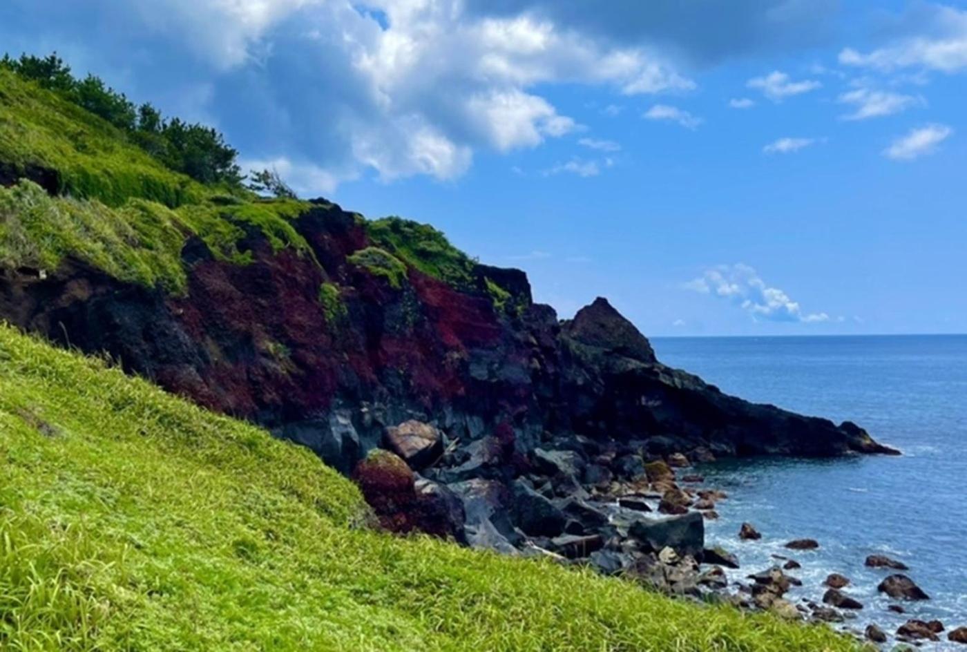 Mihamakan, Izu Oshima - Vacation Stay 89848V Exterior foto